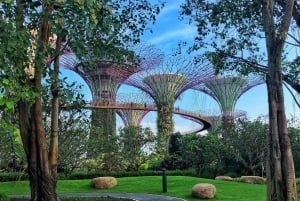 Singapore: Gardens by the Bay Guided Tour