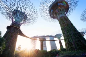 Cingapura: Visita guiada ao Gardens by the Bay