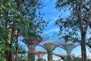 Cingapura: Visita guiada ao Gardens by the Bay