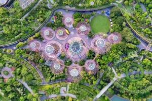 Cingapura: Visita guiada ao Gardens by the Bay