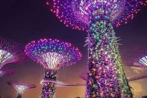 Singapore: Gardens by the Bay & Jurassic World med afhentning