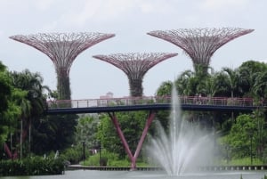 Singapore: Gardens by the Bay & Jurassic World med afhentning