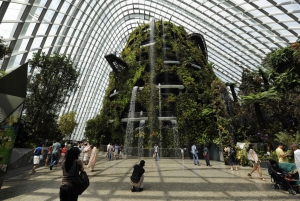 Singapore Gardens by the Bay: National Garden DayTour