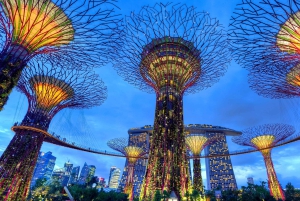 Singapore: Gardens by the Bay & Jurassic World med afhentning