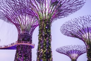 Singapore: Gardens by the Bay & Jurassic World med afhentning