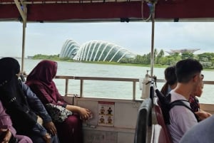 Singapore: Guidad stadstur Guidad stadsvandring med amfibieandbåt