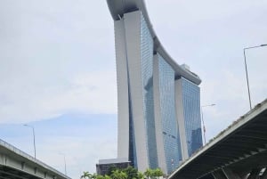 Singapore: Guidad stadstur Guidad stadsvandring med amfibieandbåt