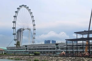 Singapore: Guidad stadstur Guidad stadsvandring med amfibieandbåt