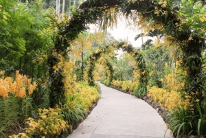 Singapur: Geführter Spaziergang durch Chinatown & Botanischer Garten