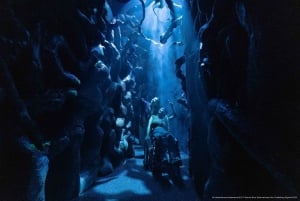 Singapur: Magiczna wizja Harry'ego Pottera z biletem na Sentosę