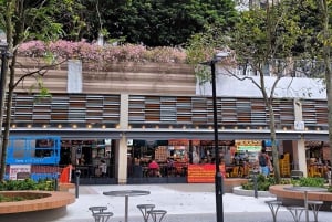 Singapore: Tour guidato degli alloggi pubblici e delle comunità HDB