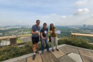 Singapore: Tour guidato degli alloggi pubblici e delle comunità HDB