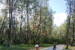 Singapore: Heartland Cycling Tour