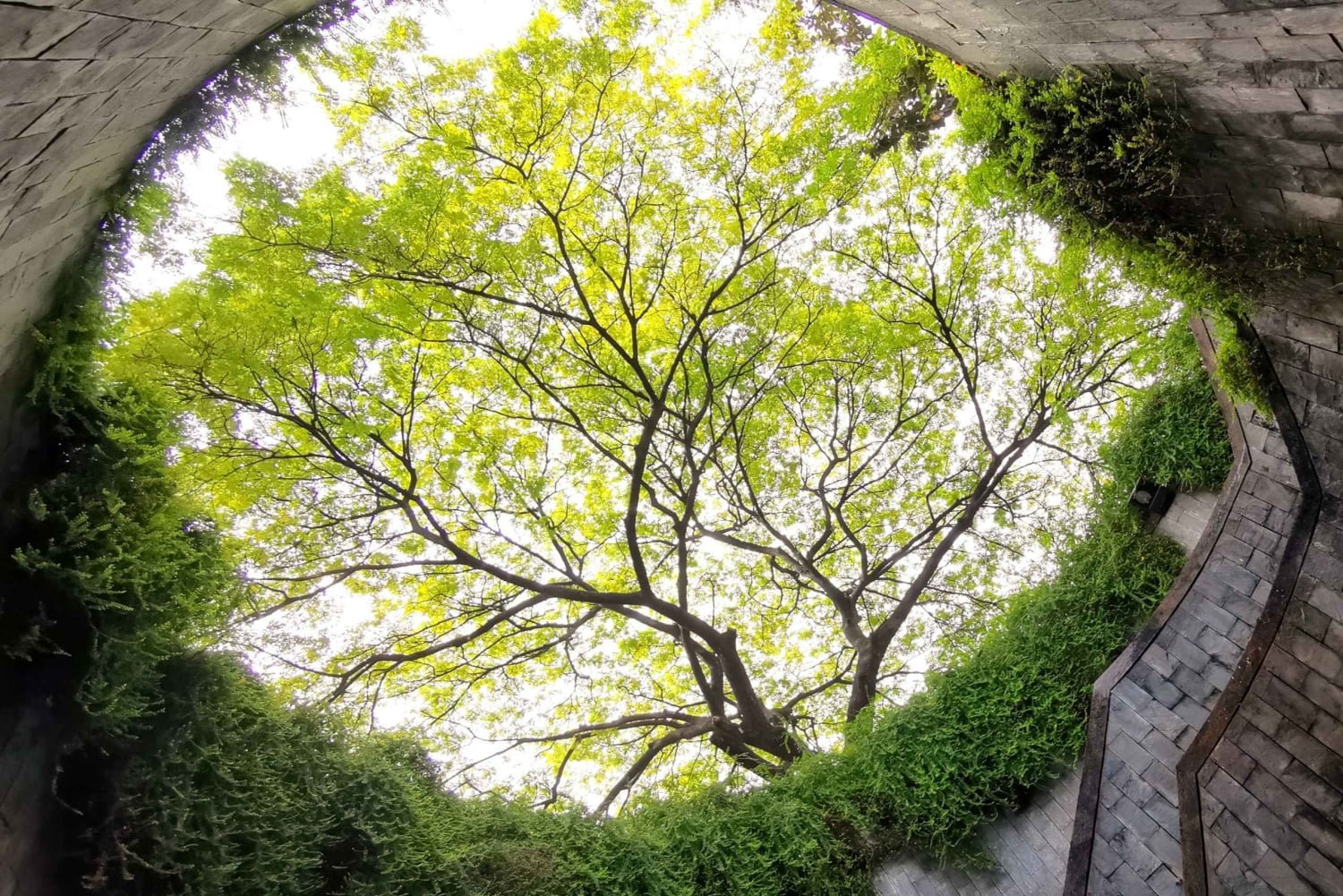 Singapore: Dolda pärlor – sparkcykeltur med middag