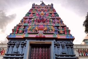 Singapore: Dolda pärlor – sparkcykeltur med middag