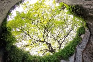 Singapore: Dolda pärlor – sparkcykeltur med middag