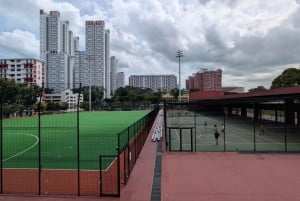 Singapour : « Have I Wondered What You Are » (Me suis-je interrogé sur ce que vous êtes ?)