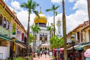 Singapore: Highlights and Hidden Gems Private Car Tour