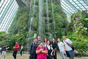 Singapore: Highlights and Hidden Gems Private Car Tour