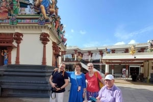 Singapore: Highlights and Hidden Gems Private Car Tour