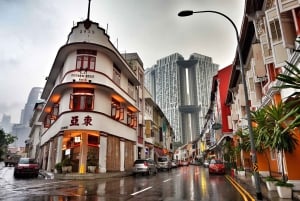 Singapore: Highlights and Hidden Gems Private Car Tour