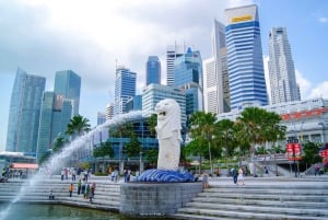 Singapore: Highlights and Hidden Gems Private Car Tour