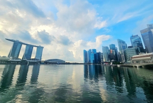 Singapore: Highlights & Hidden Tiong Bahru Private Tour