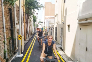 Singapore: Historical Bike Tour