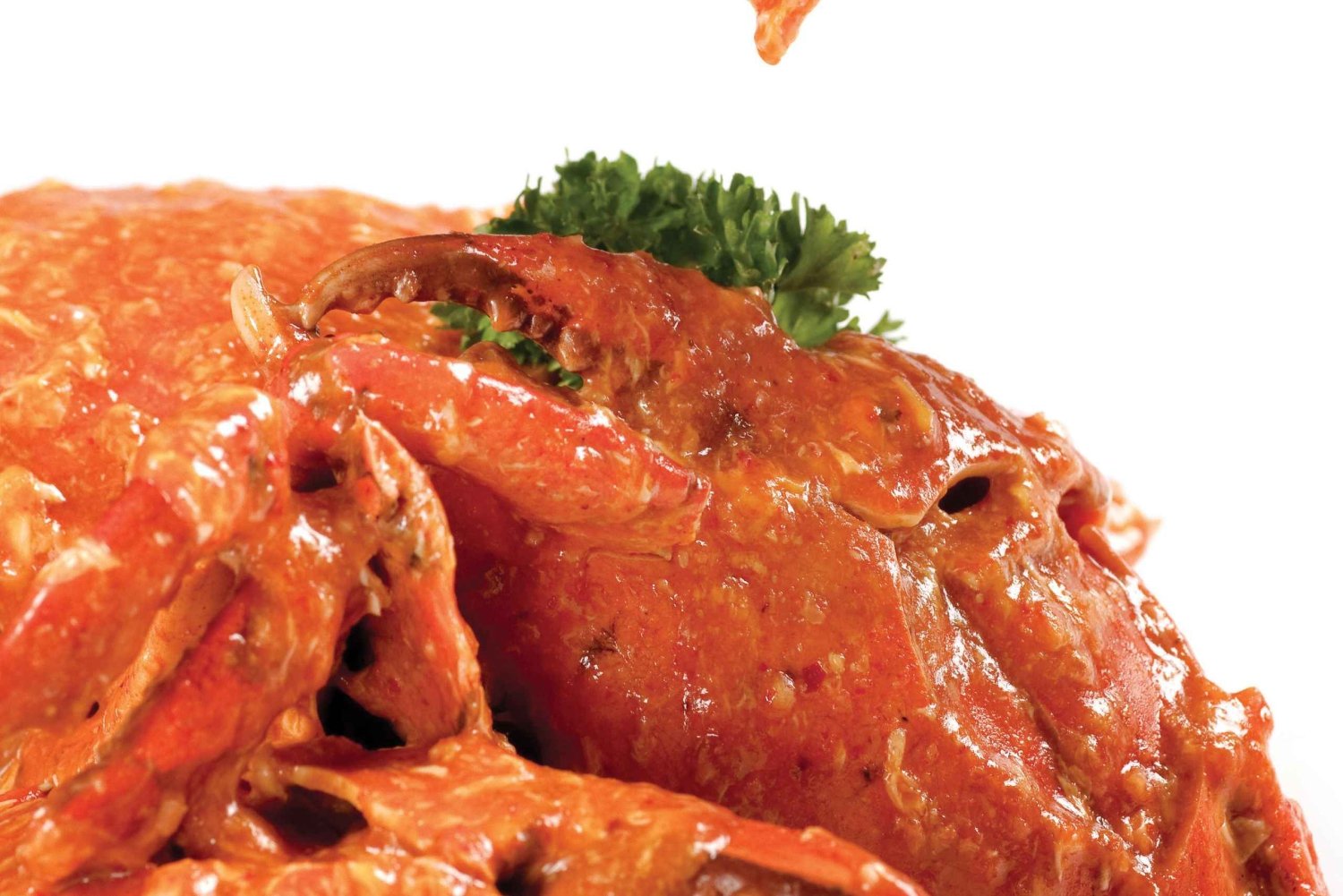 Singapore : House of Seafood Riverwalk F&B packages