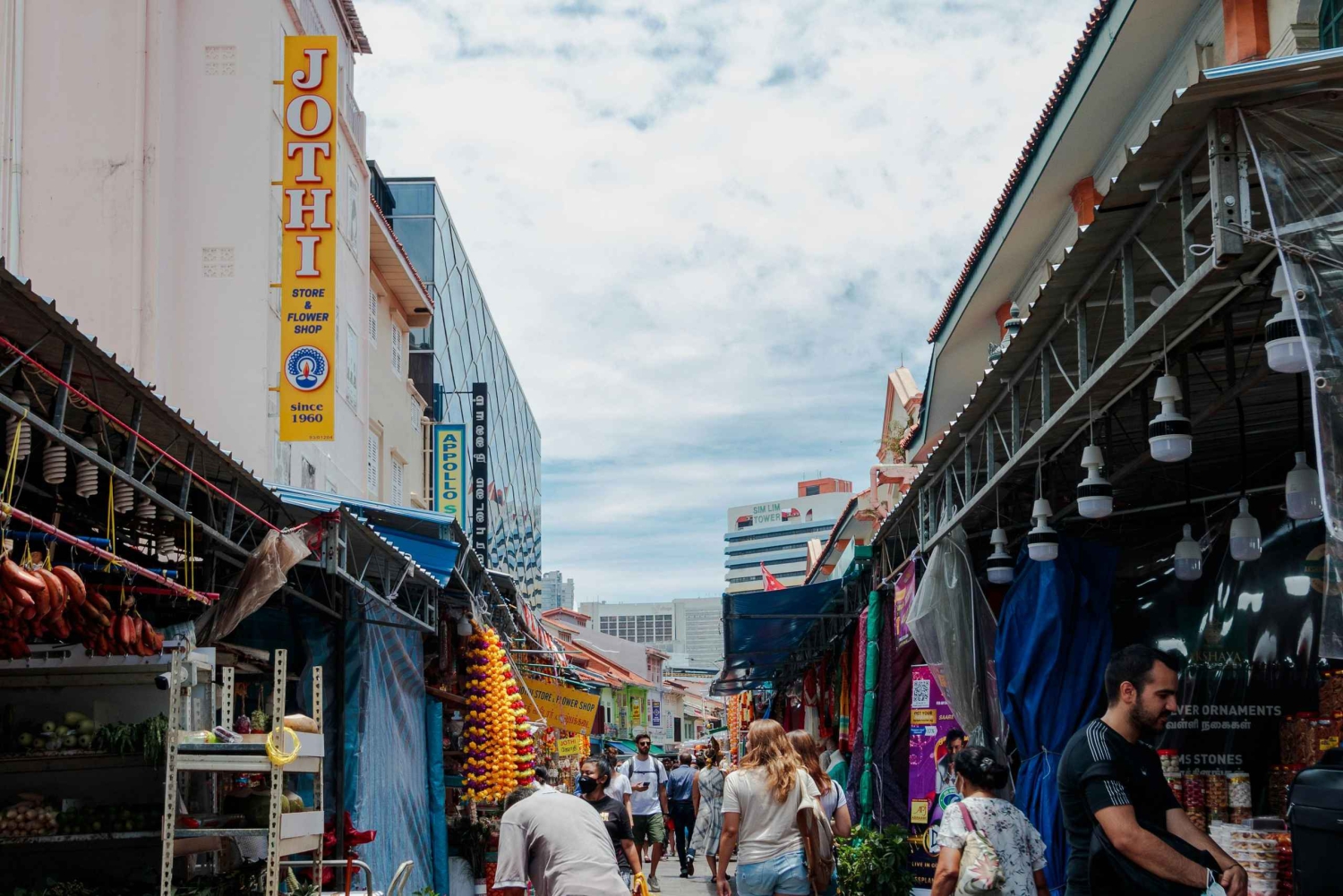 Tour de la ciudad de Singapur (con aperitivos locales)