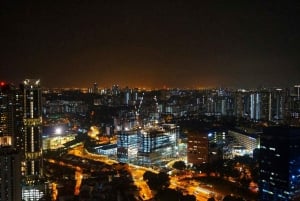 Singapore in Comfort: Private Minivan Tour Tailored for You
