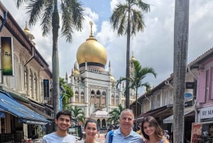 Singapore in Comfort: Private Minivan Tour Tailored for You