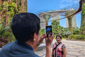 Singapore i komfort: Privat Minivan-tur skräddarsydd för dig