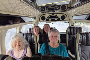 Singapore i komfort: Privat Minivan-tur skräddarsydd för dig