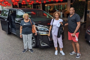 Singapore i komfort: Privat Minivan-tur skräddarsydd för dig