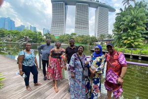 Singapore i komfort: Privat Minivan-tur skräddarsydd för dig