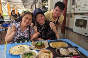 Singapore i komfort: Privat Minivan-tur skräddarsydd för dig