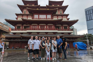 Singapore i komfort: Privat Minivan-tur skräddarsydd för dig