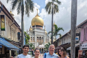 Singapore i komfort: Privat Minivan-tur skräddarsydd för dig