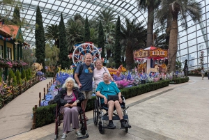 Singapore i komfort: Privat Minivan-tur skräddarsydd för dig