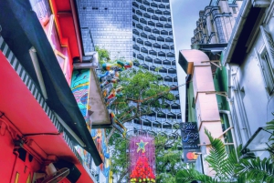 シンガポール：インスタウォーク：ブギス、ウォータールー、カンポングラム