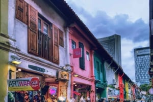 シンガポール：インスタウォーク：ブギス、ウォータールー、カンポングラム