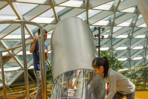 Singapore: Jewel Changi Airport Direct Entry Ticket