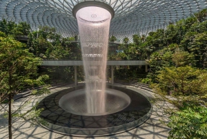 Singapore: Jewel Changi Airport Direct Entry Ticket