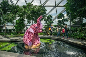 Singapore: Jewel Changi Airport Direct Entry Ticket