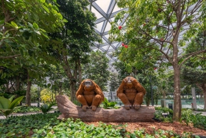 Singapore: Jewel Changi Airport Direct Entry Ticket