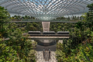 Singapore: Jewel Changi Airport Direct Entry Ticket