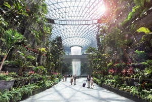 Singapore: Jewel Changi Airport Direct Entry Ticket