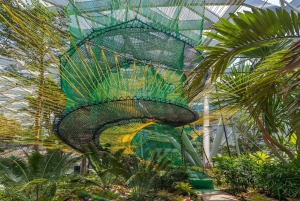 Singapore: Jewel Changi Airport Direct Entry Ticket