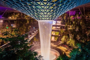 Singapore: Jewel Changi Airport Direct Entry Ticket